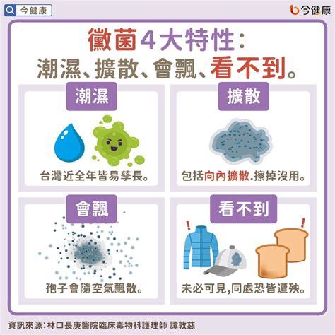 東西發霉|發霉易增罹癌風險，怎麼清潔？譚敦慈教2招除黴，日。